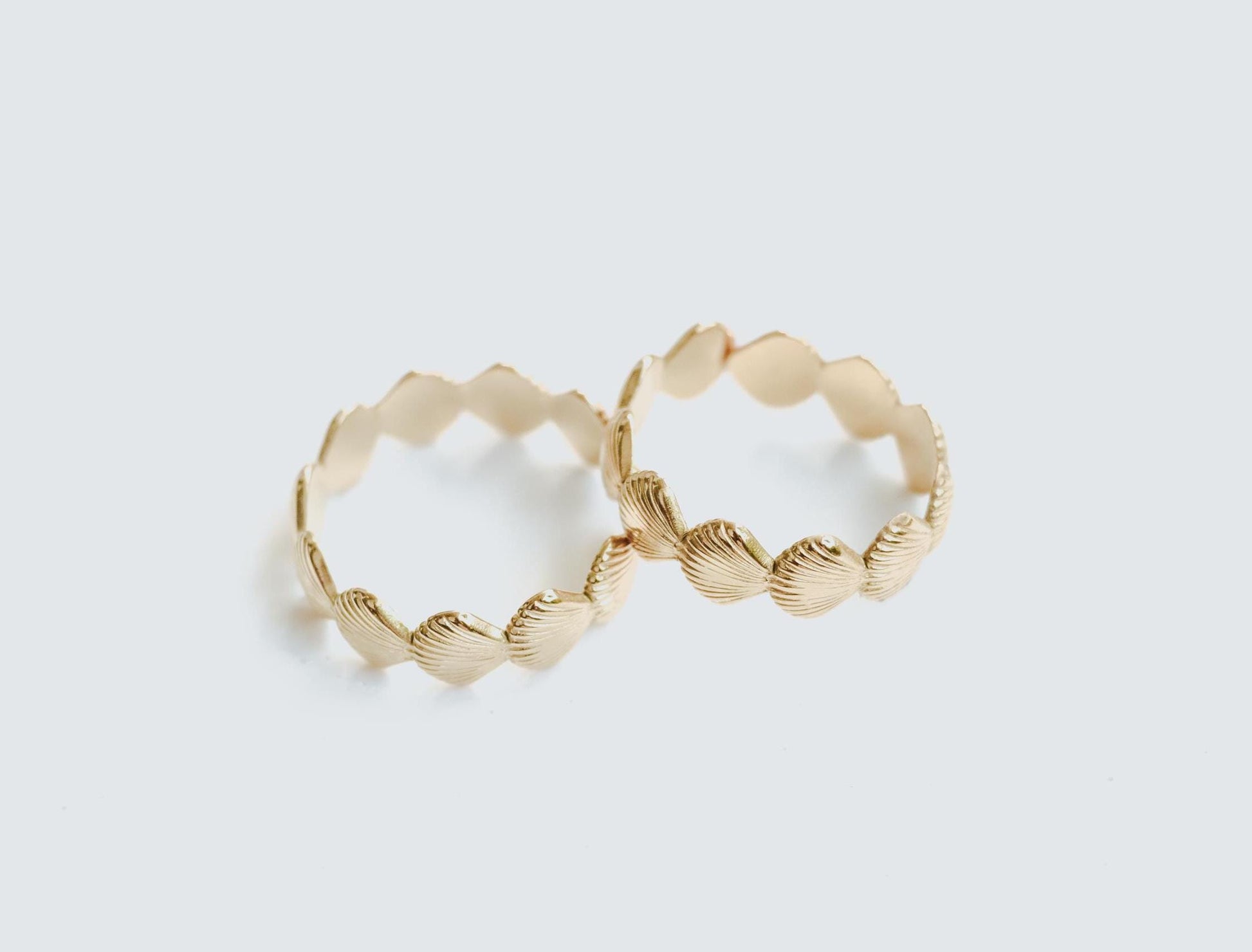 Ring | Shells