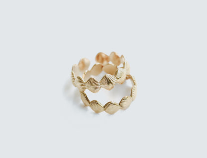 Ring | Shells