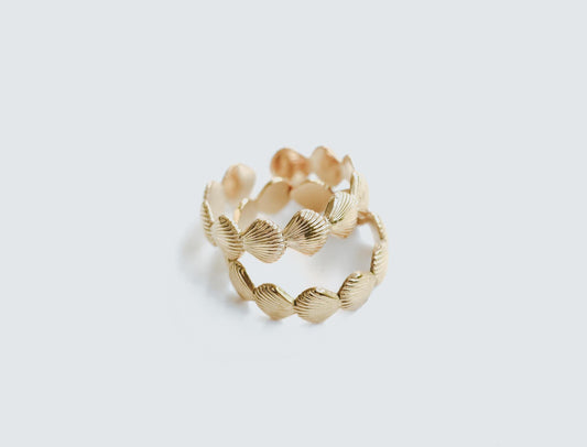 Ring | Shells
